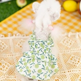 Juniorpie2021 Весна и летняя одежда для домашних животных юбка для печати вишневой печать кошки и собачье платье 21jp09s/5