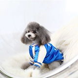 Демисезонный классический бейсбольный пуховик, куртка, 2019, с вышивкой