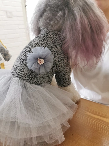 Уродливая H.Chouchou2019 Leopard Land Flower Dress Dog Dog Dog Princess Юбка 1943/5 Консультация еще более удивительно