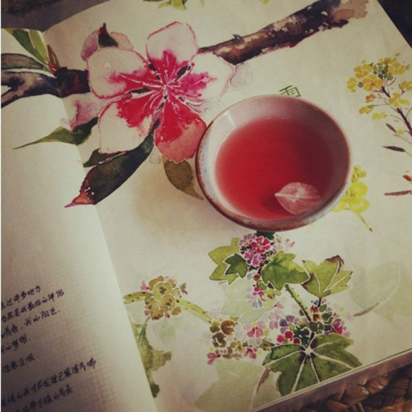 浙江老字号 百年老店 西塘 同福永 古法桃花酒 500ml 礼盒装 优惠券折后￥21.8包邮（￥41.8-20）