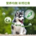 Quark Dog Thức ăn 10kg Chó trung bình Husky Golden Retriever Samoyed Puppy General Dog Food Thịt bò Hương vị 20 kg - Chó Staples