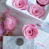 Роза Вечный цветок домашний класс цветов класс A -class 4 см. Стеклянная крышка подарочная коробка для ключей DIY Сырь