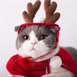 Tuoyu ペ 游 ы ы ы 渖碜 渖碜 渖碜 Target Yuyu warding kanding