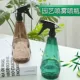 750 мл Emerald+чайный коричневый цвет (два наряда)