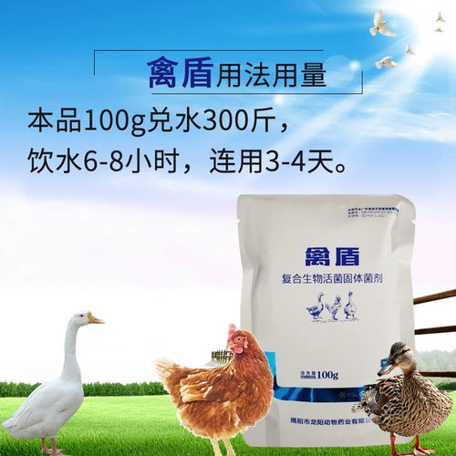 Птица птицы с домашней птицей с лечебной куриной лечебной медициной тяжело болен.