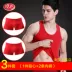 Áo vest cotton đỏ, kết hôn, quà sinh nhật, đồ lót cotton nam, phần mỏng, năm heo áo ngực 3 dây Áo vest