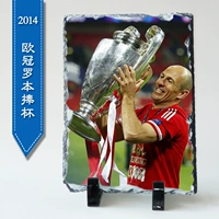 Компания Лиги чемпионов УЕФА 2014 года Кубок Робин