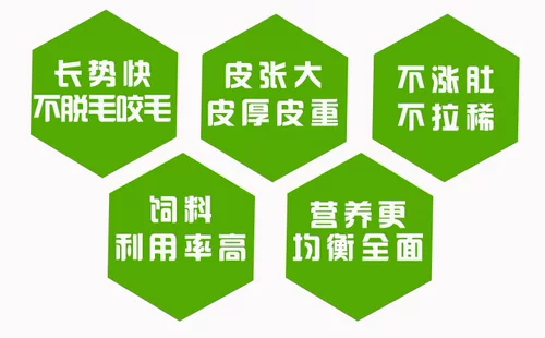 Осел корм для ослина Техас Гуанчжонг Мясной Донки Донор Увлажняющий удобрения выращивание растущее повышение поощрения агента ликвидации британцев и американцев