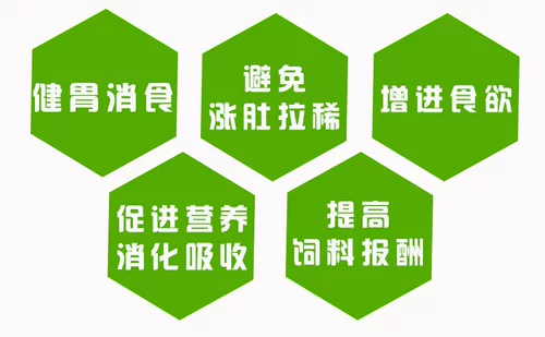 Коровьский кролик, кормивший кроличьи, анти -равиолиновые посвященный предварительно смешивающимся материалом здоровый желудок устраняет кровотечение и боль в животе, разбавляет, не переваривает британских и американских