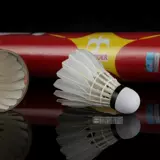 Ndboer Red Porch Badminton Профессиональная подготовка № 1 A A Class A Style Sport School Club Game 12