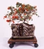 Flowerpot khay phổ con lăn di chuyển với phanh rắn gỗ carbonized khung hoa tròn cơ sở khung chậu - Kệ