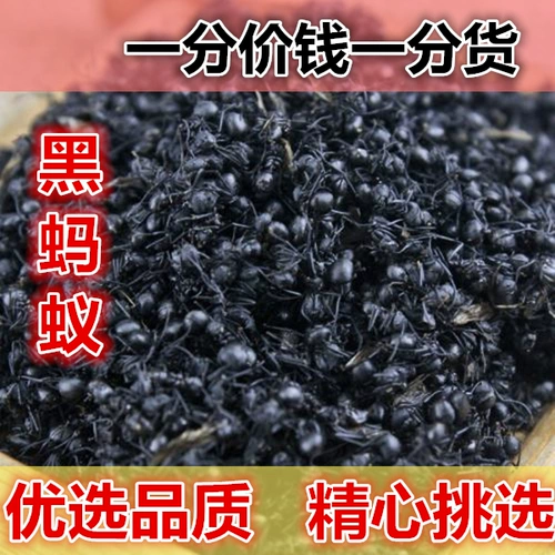 Jiayu ant черные муравьи сухой дикий 500 г, пузырьковые пузырьковые вино дикие большие черные муравьи сухой не -флюр