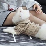 Свитер собаки вязаный плюшевый бишон медведь гранат