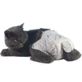 Кошачья моча не мокрый, подгузники кошки, самка кошачьего анти -межканкала с концепцией признания тети