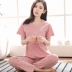 Mùa hè quần ngắn tay đồ ngủ nữ mặc giản dị bông dịch vụ nhà phù hợp với XL cotton nửa tay phụ nữ