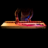 Arturia Keylab 88 Farar Heavy Hammer Полный вес 88 KeyCase Controller Professional Midi клавиатура