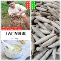 Guangxi теперь копает свежую большую зимнюю зимнюю дикую дикую дикую долю до гендианвин 500 г, пропиченный винный суп, 5 фунтов, 10 фунтов, чтобы получить семена