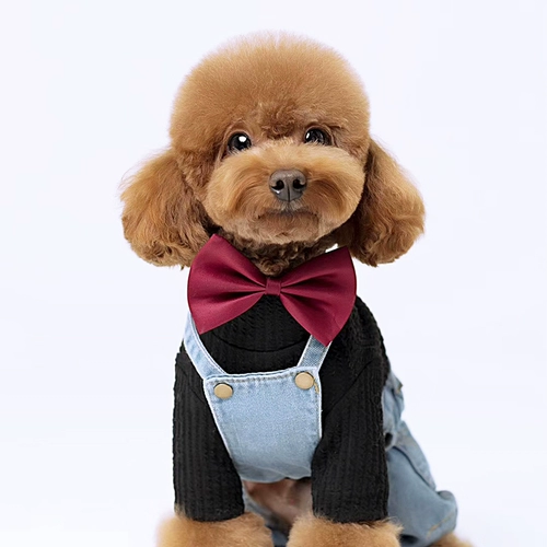 Педань собака кот галстук с бабочкой красные украшения маленькие собачья свадебная джентльмен галстук Тедди Бибар Медведь Ювелирные изделия