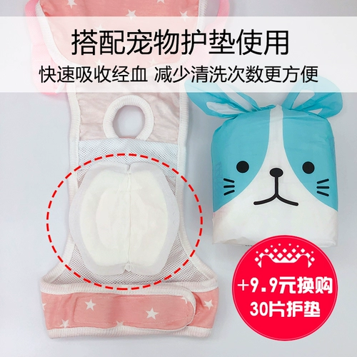 Мальчик собака собака хлопковое биологическое брюки по ремню тела плюшевое плюшевое медведь фана