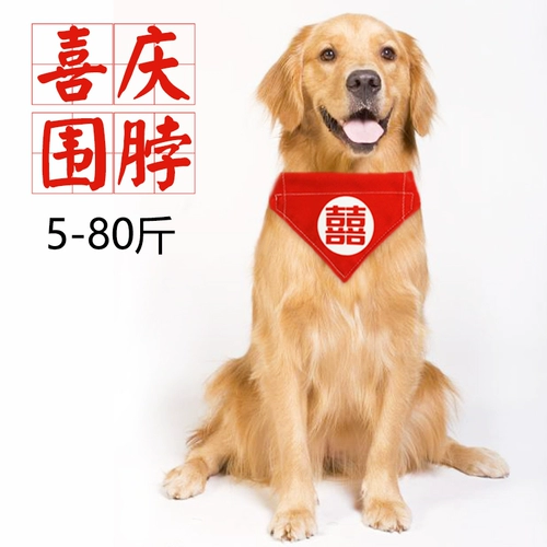 楃 楃 嫍鐚       滃 泹锽 滃 泹锽 夎   страх 洿鑴 栨柊 栨柊 栨柊