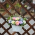 Mô phỏng giỏ treo hoa trang trí hoa lan treo trong chậu treo hoa giả cây xanh mô phỏng hoa lan trần giả hoa treo tường - Hoa nhân tạo / Cây / Trái cây Hoa nhân tạo / Cây / Trái cây