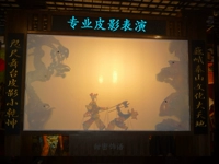 Производительность теневого выступления Mugu Shelter Shadow Force Forest Shadow Show Show Программа белая фото стена Фотография ткань