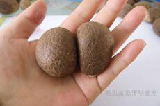 Настольная игра Слоновая кость фрукты маленькие