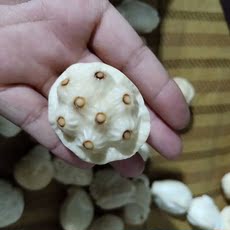 Изделие с гравюрой на слоновой кости