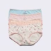 Đồ lót nữ bằng đậu đỏ 4 hộp quà bằng vải cotton hình tam giác 裆 Quần short ở eo không có quần lót bé gái thoáng khí set quà tặng đồ lót lịch sự Bộ quà tặng