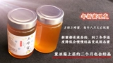 Медовый чистый натуральный Qinling Farmers 'Self -продукт почвенная почва -кристаллическое христаллическое меда 500 г не -Уилд -скалоло