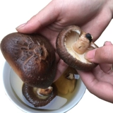 Новый груз Qinling Wild Marci Shiitake Fresh Dry 500G грибов грибов грибов содержит небольшие грибы, кантонский объем, фунт