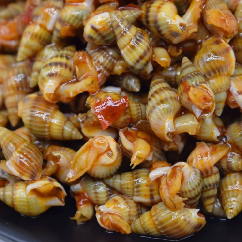 夫润虹 Острый морской конус 300G Большой конусный