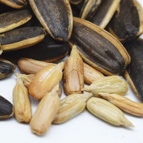 Ранлин Золотые подсолнечные семяны