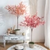 lan gia hac Sentai mô phỏng cây xanh trồng trong chậu trong nhà giả cây ô liu Ins tầng phòng khách đồ trang trí trang trí Bắc Âu hoa giả thực vật đào đông đỏ giả hoa giả de bàn thờ chúa Cây hoa trang trí
