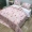Twill bông quilting là đa mục đích cộng với bông dày phim hoạt hình tấm trải giường hai mặt châu Âu mat mat bốn mùa pad - Trải giường drap giường cotton