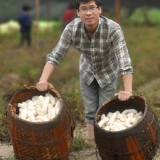 Zhuyu Dry Goods Specialty Products 50 г бамбука Sheng Natural Meat Толстое звело, без копченого фермеров, самим