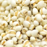 LEI RICE 500G Свежий маленький ячменный рисовый ядра фермеры самостоятельно продукты ядра ячни ячни ячменный ячмень
