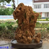 Водный камень бонсай бонсай бонсай бонсай с 75 до 85 см таунхауса с бассейном в бонсай