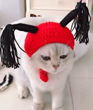 Шапка, милый шлем, шерстяной парик с косичкой, xэллоуин