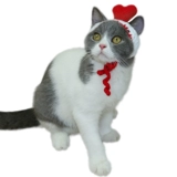 Шапка на день Святого Валентина ручной работы, шлем, аксессуар для волос