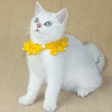 Чокер из жемчуга, шарф, фальшивый воротник, слюнявчик, милый нагрудник, декор