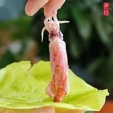 Изысканный Chao Cai Cai nanao House Squid Squid Squid Приготовленная рыба, выдуваемая