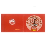 Свадебный компакт -диск коробка свадебная коробка свадебная коробка для свадебной коробки для свадебной диск.