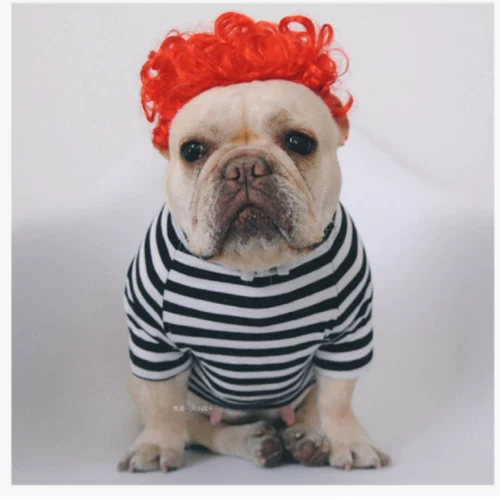 Парик, ожерелье, шлем, аксессуар для волос, солнцезащитные очки