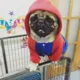 Утепленная синяя утепленная толстовка