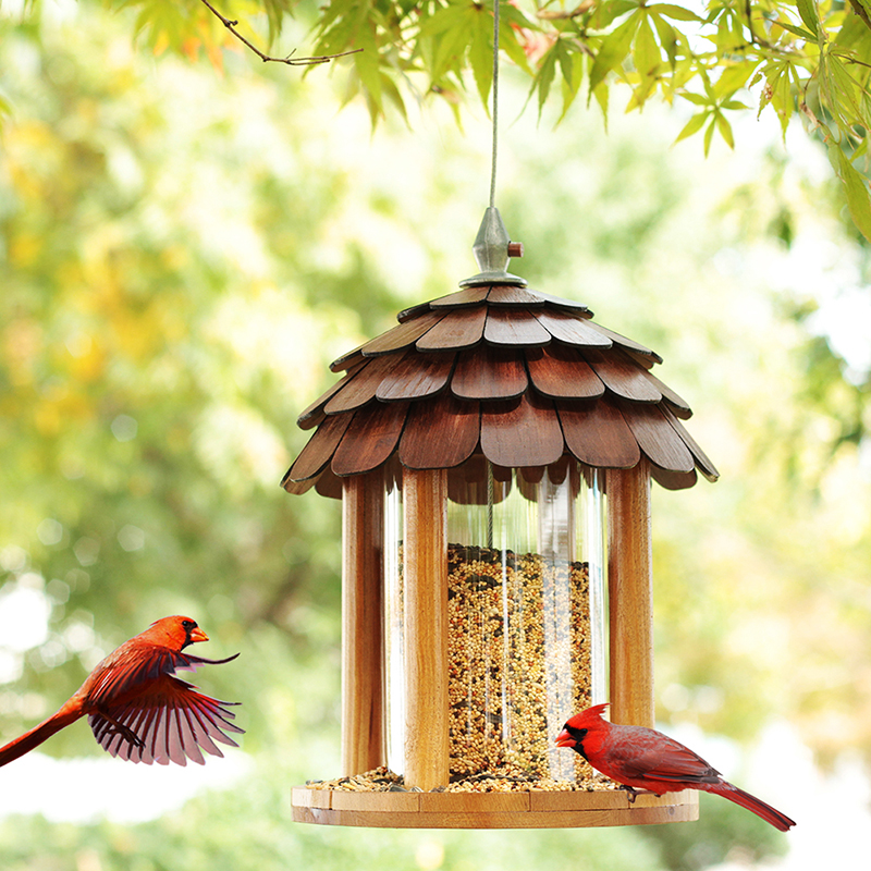 Xina Honshuの野望屋外バードウォッチングバードフィーダー野鳥保護給餌中庭風景ヴィラ寄付