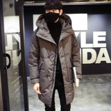 Пуховик, демисезонная куртка, 2021 года, в корейском стиле