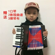 Accordion- Nhạc cụ Accordion cho bé 8 Bass 17 phím- Nhạc cụ giáo dục âm nhạc cho bé 3-5 tuổi