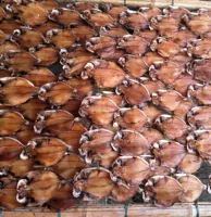 Венчжоу специальность диких рыб пить рыбу специальные морепродукты сушеные солены