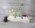 Mini sứ trắng mọng nước origami câu đố hướng dẫn sáng tạo DIY sản xuất quà tặng Yan giấy phù hợp với gói vật liệu